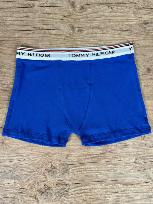 Cueca TH Azul Masculina – Conforto Premium e Estilo Moderno